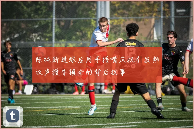 陈纯新进球后用手捂嘴庆祝引发热议声援李镇全的背后故事